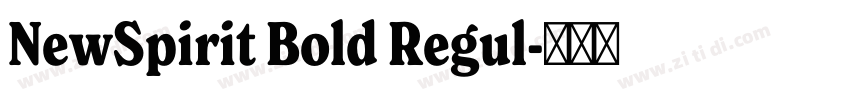 NewSpirit Bold Regul字体转换